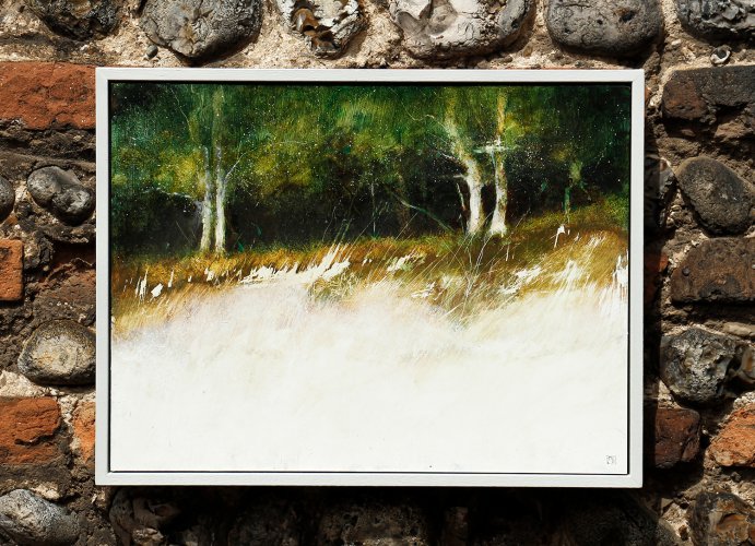 Alternative image