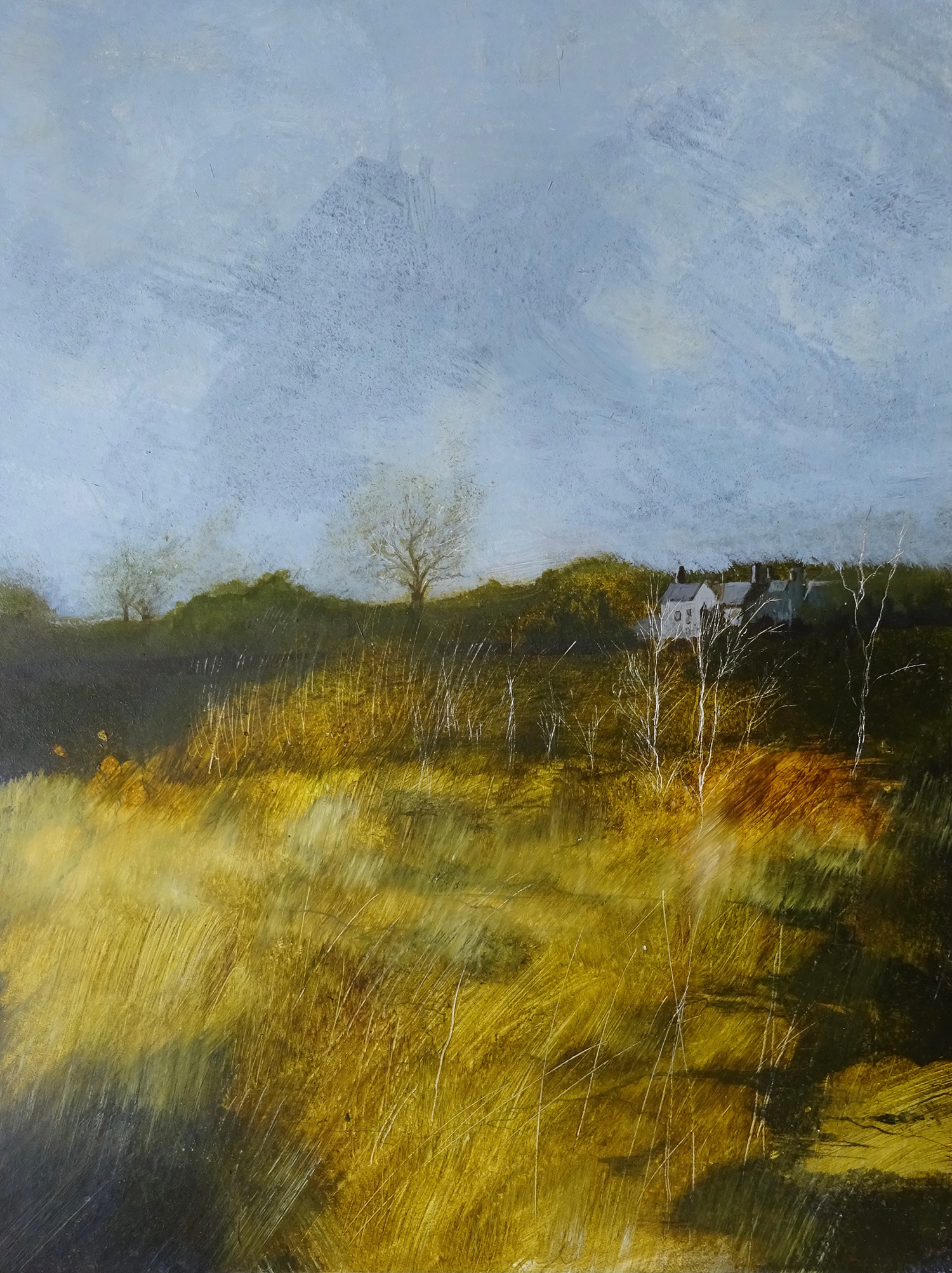 The Meadow by Tony Foster