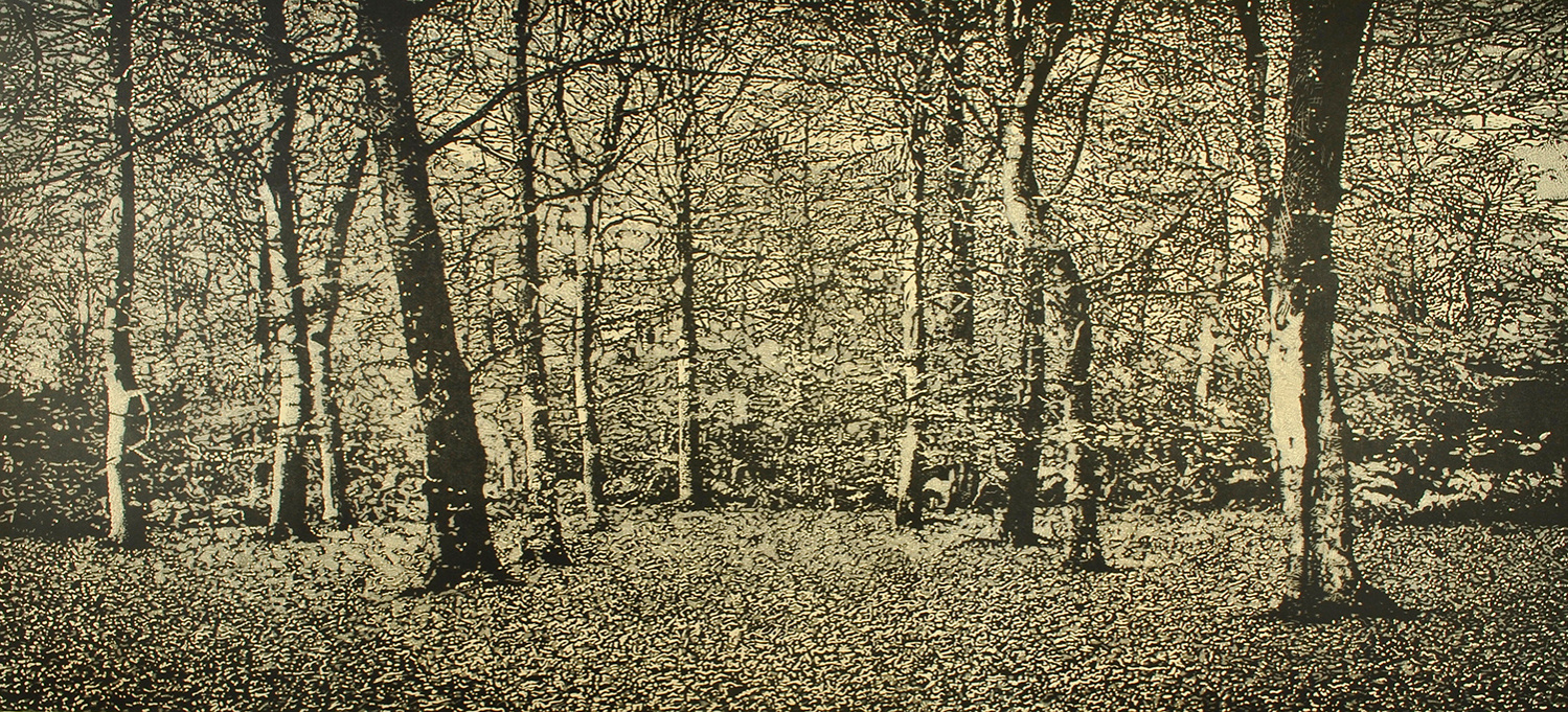 The Beech Wood I by Trevor Price