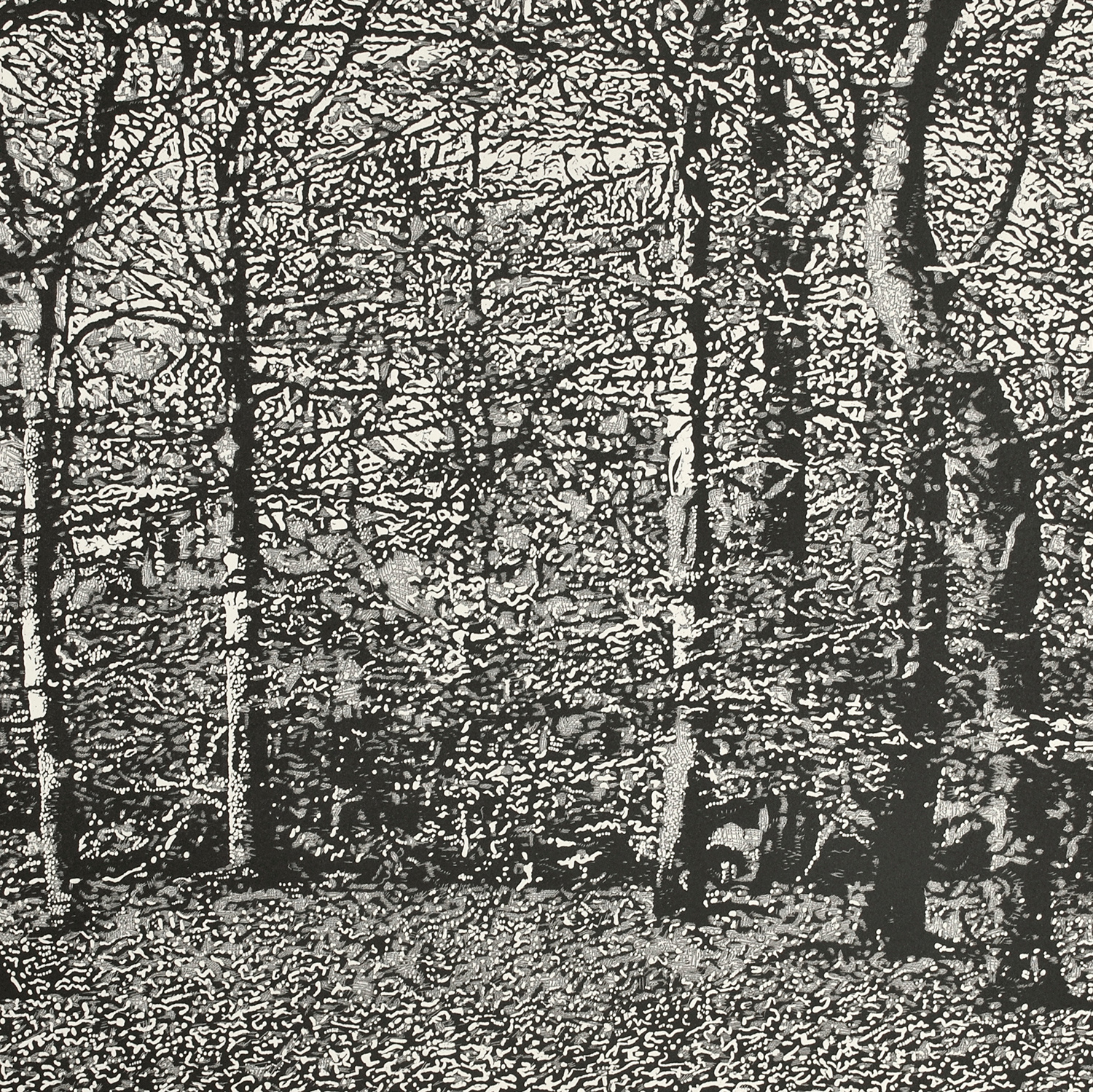 Woodland II by Trevor Price