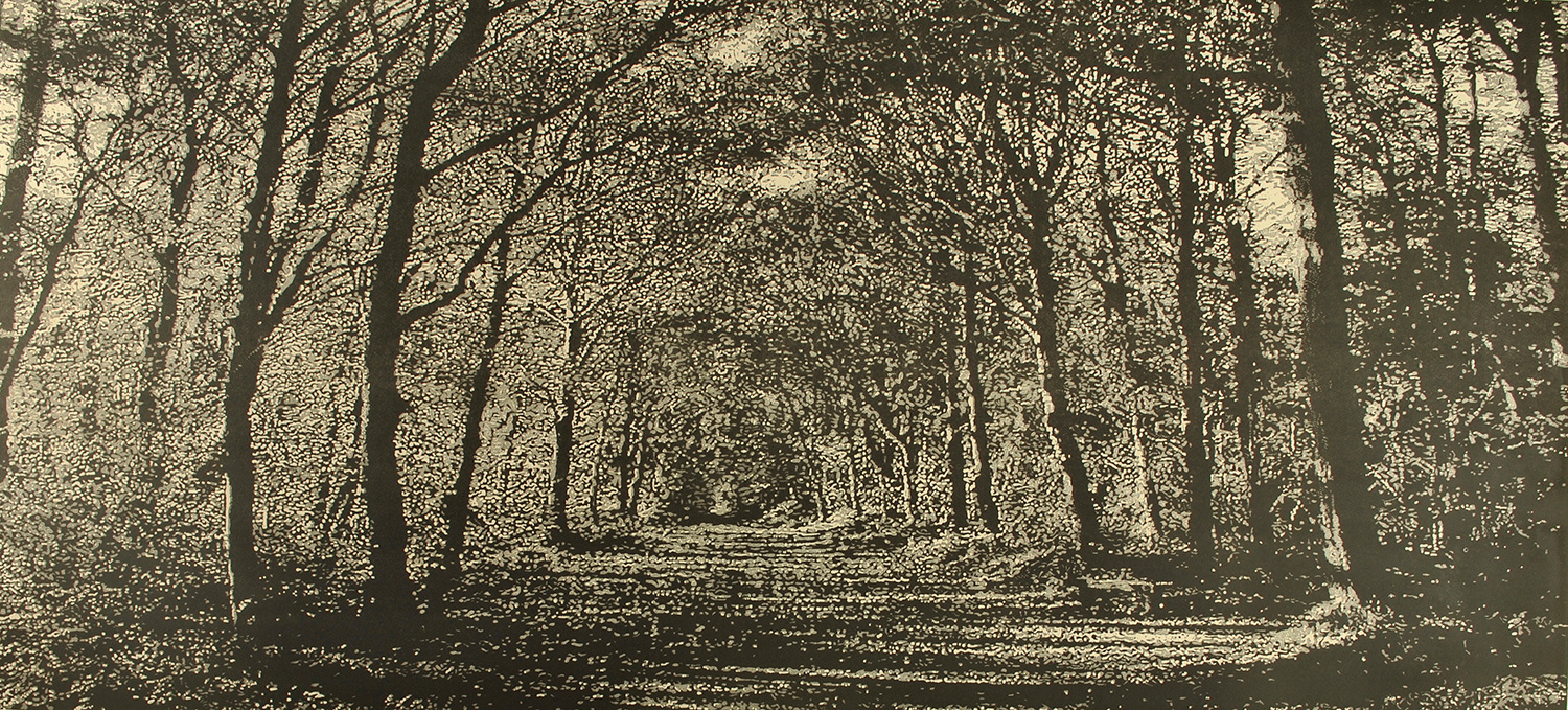 Woodland Walk by Trevor Price
