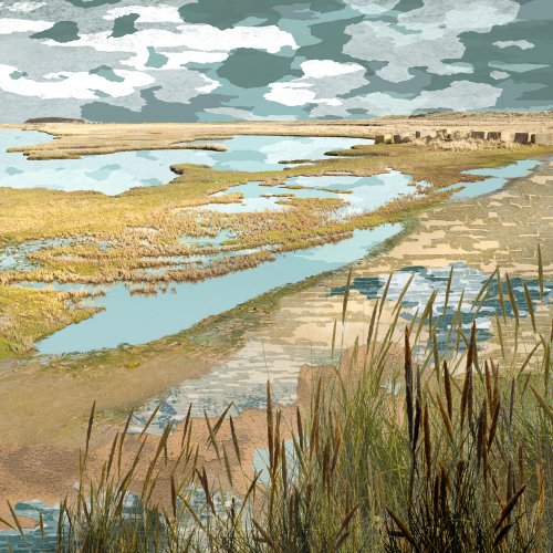 Alternative image