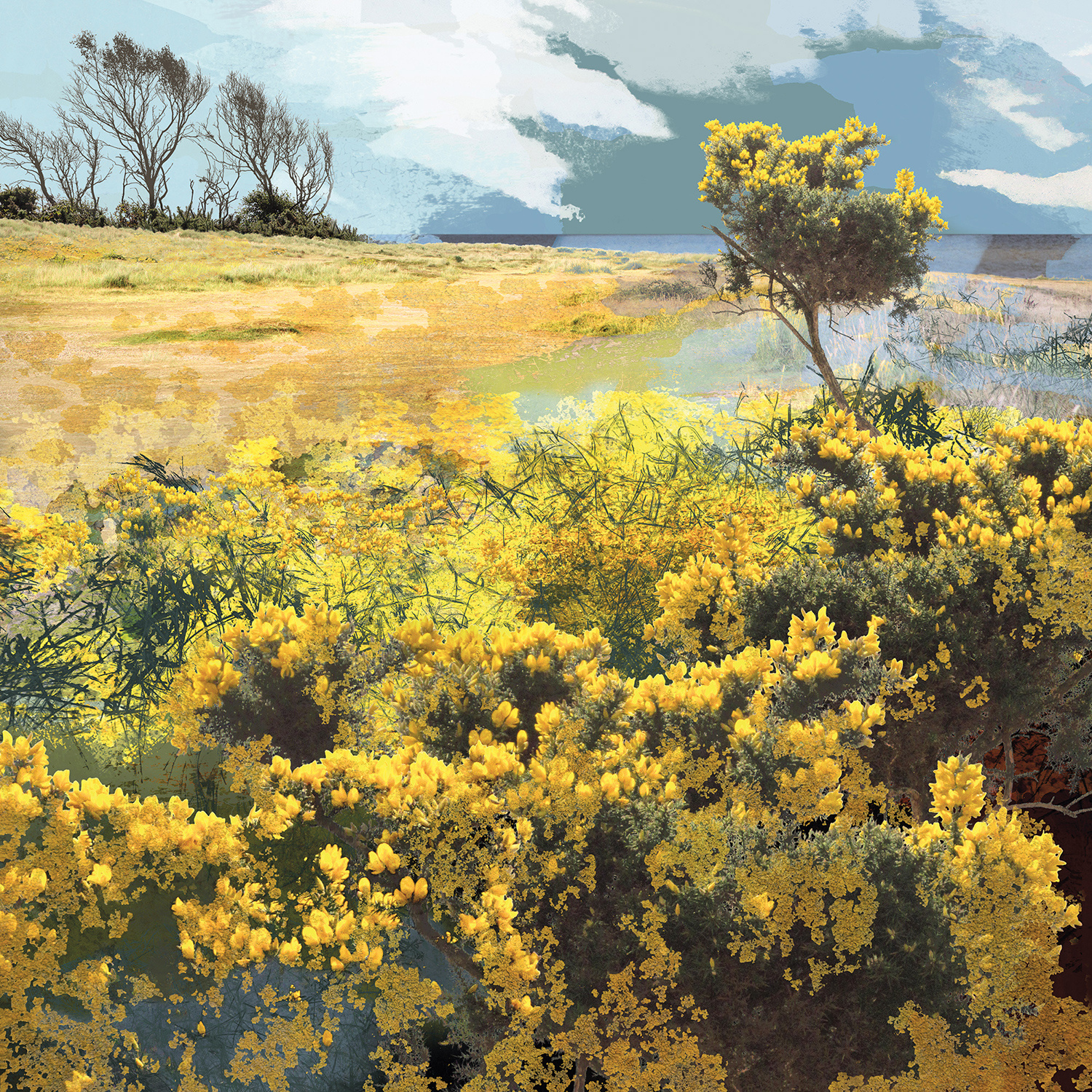 Treescape 8 by Claire Gill