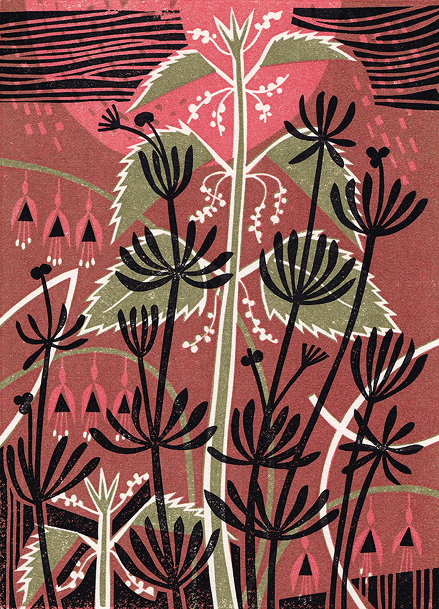 Nettles & Cleavers by Clare Curtis