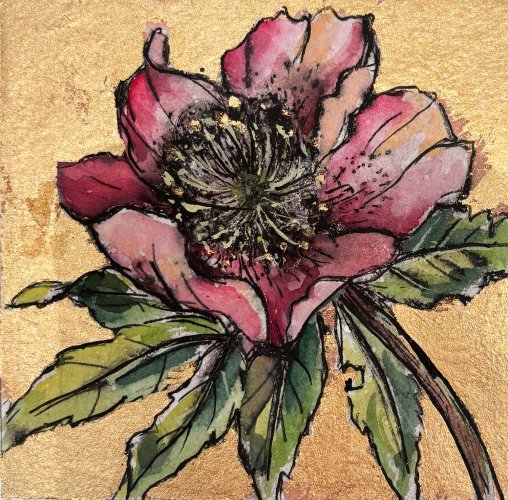 Snow Rose
