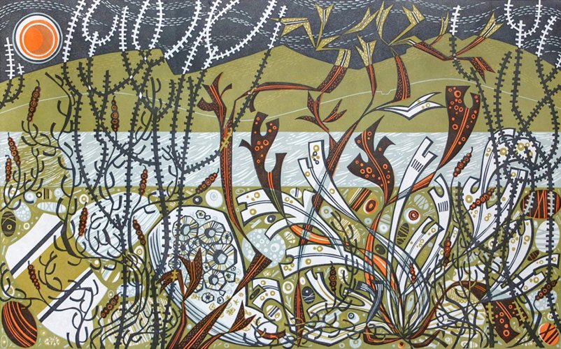 Northern Shore