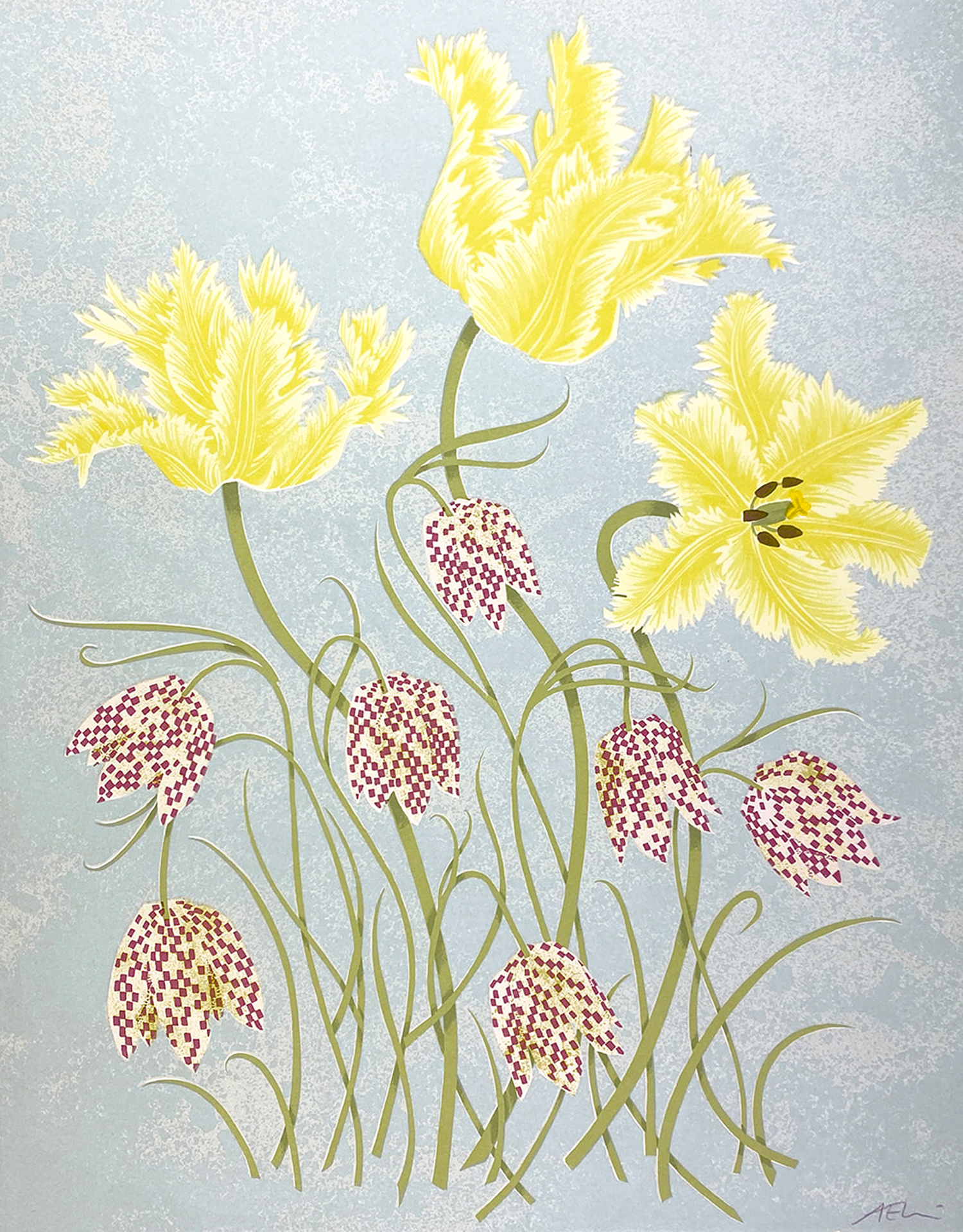 Tulips & Fritillaries by Angie Lewin