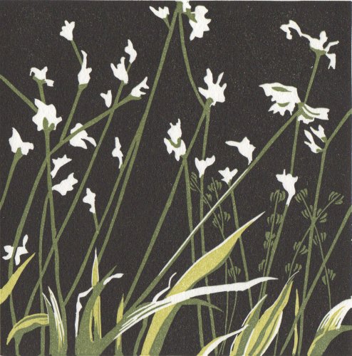 Faded Blooms - Iris